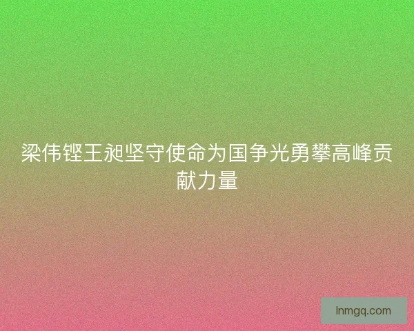 梁伟铿王昶坚守使命为国争光勇攀高峰贡献力量